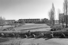 828157 Gezicht op een terrein, de zogenaamde schapenweide, aan de zuidoostzijde het Diakonessenhuis (Bosboomstraat 1) ...